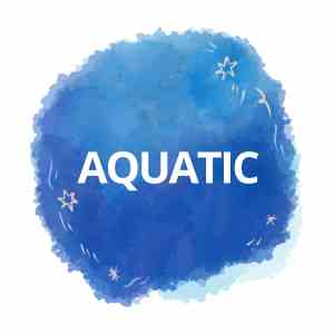 Buy Aquatic Perfumes For Men & Women in India at Perfume24x7.com