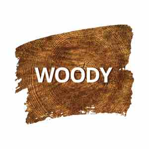 Buy Woody Perfumes From Perfume24x7.com