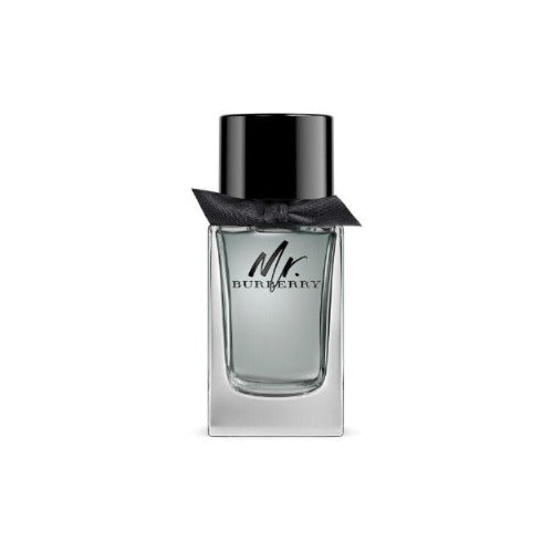 Mr. Burberry Eau De Toilette Men 100ml