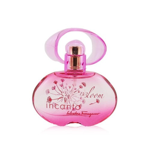 Incanto bloom perfume price Clearance