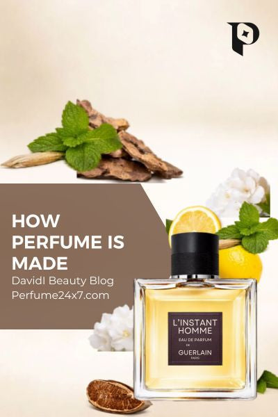 Perfume bottle with citrus fruits, mint leaves, and fragrance ingredients for a perfume-making blog
