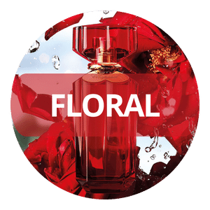 Buy Floral Perfumes From “Perfume24X7.Com”