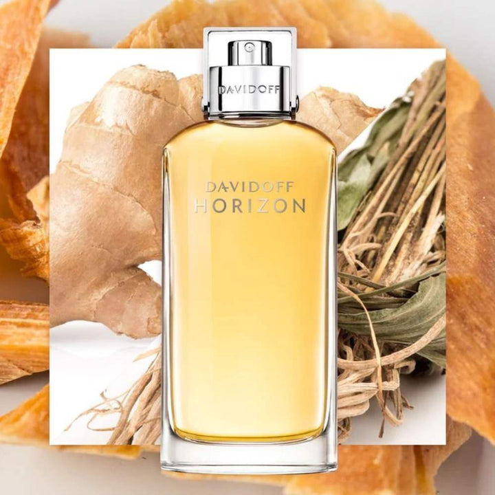 Buy Davidoff Horizon Eau De Toilette For Men EDT 125ml only at Perfume24x7.com