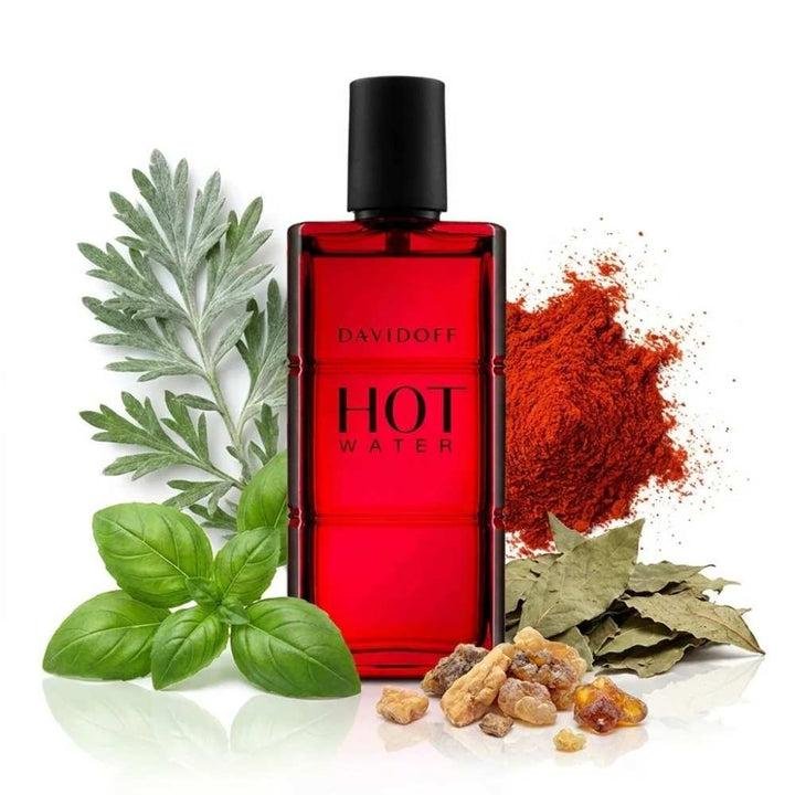 Buy Davidoff Hotwater Eau De Toilette For Men 110ml only at Perfume24x7.com