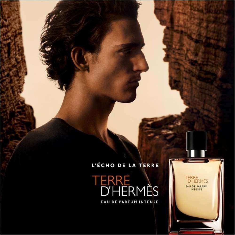 Buy Hermes Terre D&