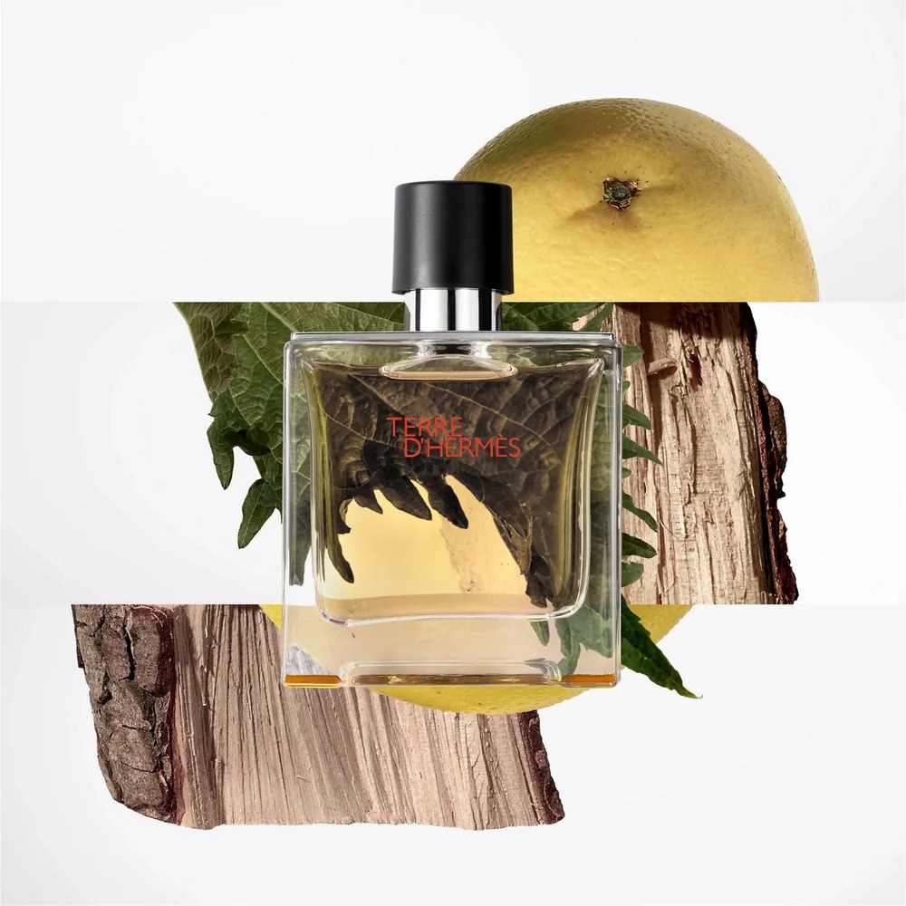 Buy Hermès Terre D'Hermès Parfum for Men – Perfume24x7.com