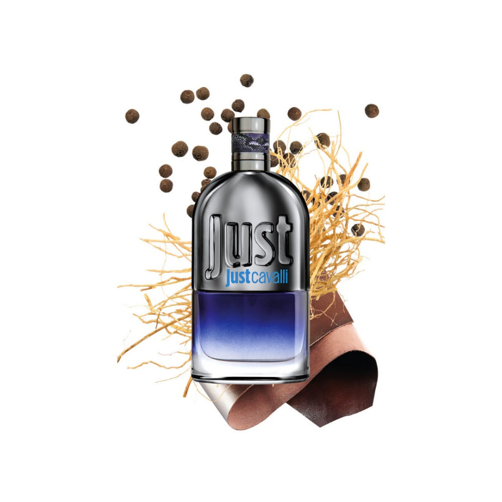 Roberto Cavalli Just Cavalli Eau De Toilette For Men