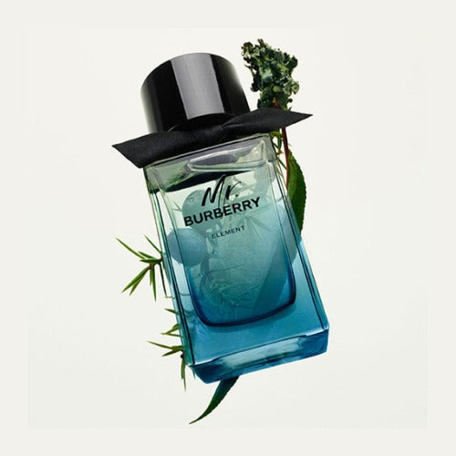 Buy original Mr.Burberry Element Eau De Toilette For Men 100 ML at perfume24x7.com